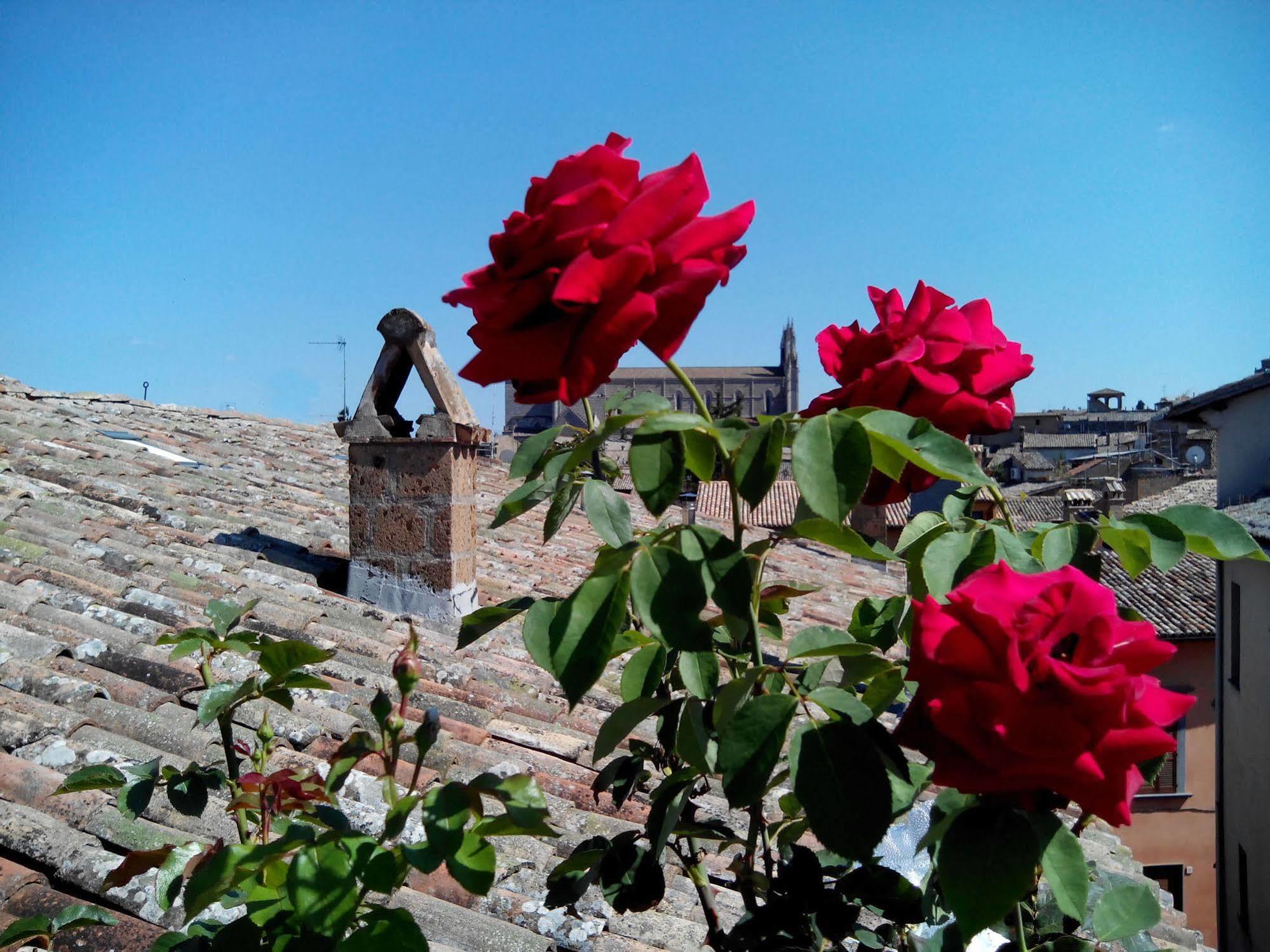 Orvieto In Terrazza 호텔 외부 사진